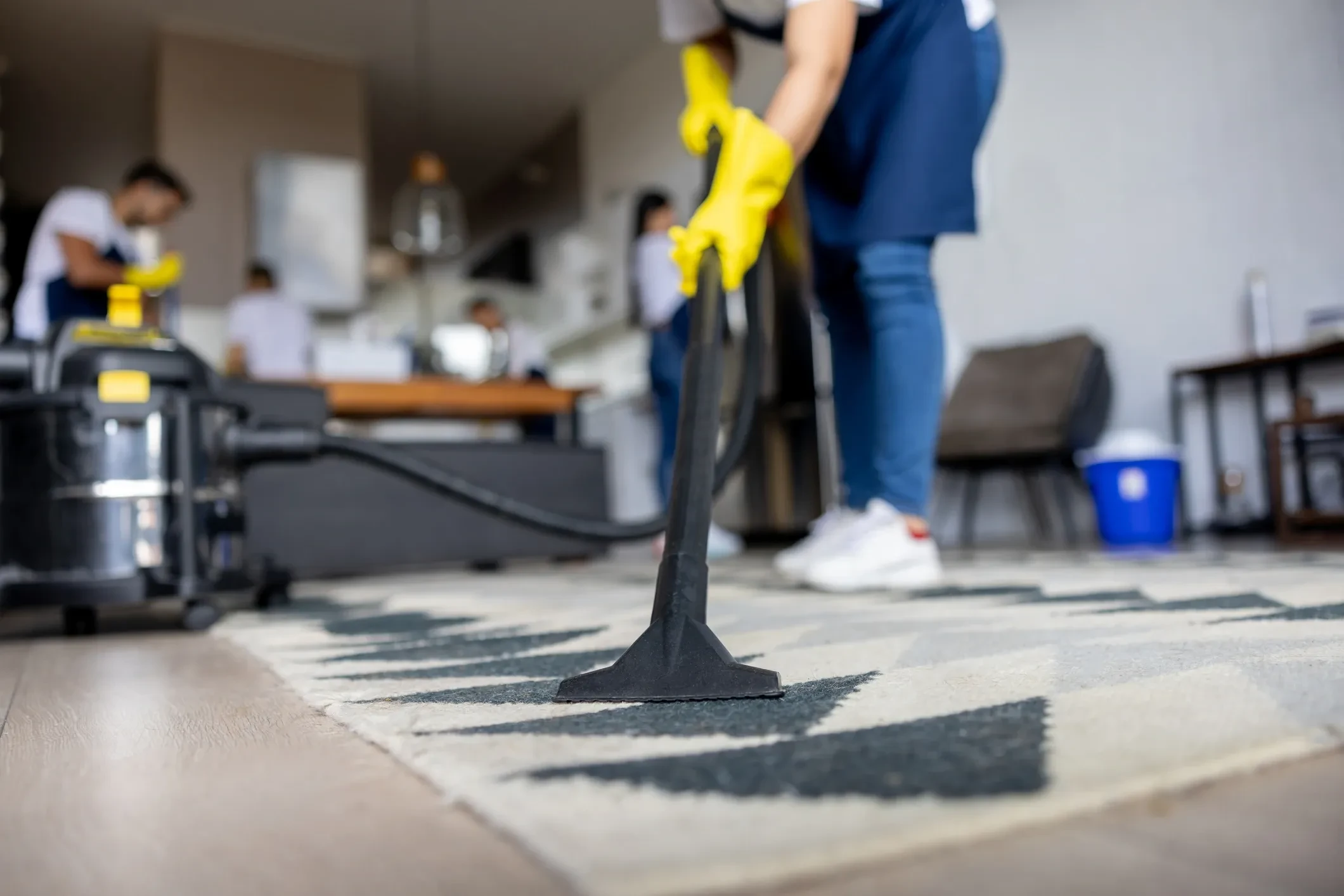 Apex cleaning team vacuuming area rug